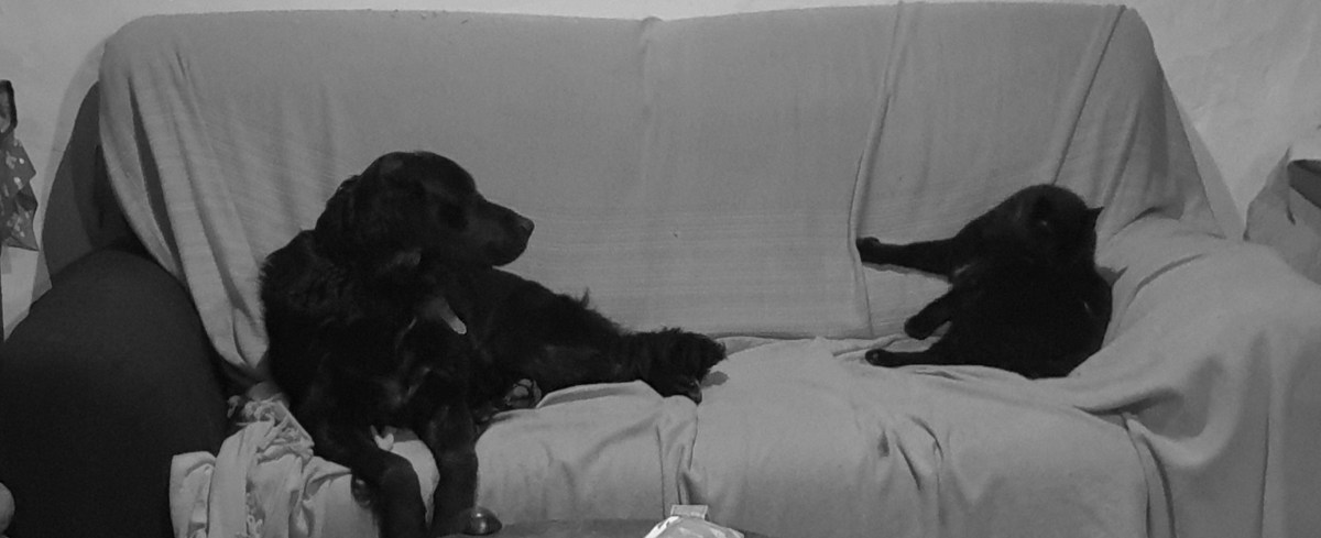 Etat de manque (réactualisation)